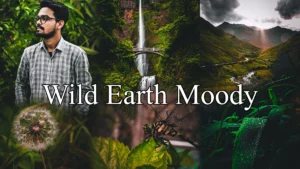 Wild Earth Moody Lightroom Preset – Free Download for Nature Photography