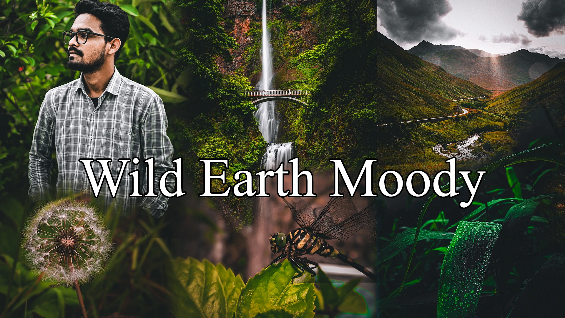 Wild Earth Moody